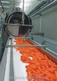 全自动胡萝卜汁生产线