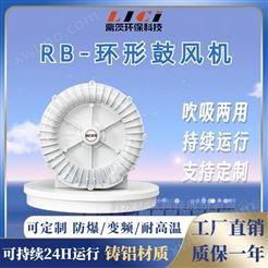 离茨环保粉粒体输送RB系列环形鼓风机 高压风机
