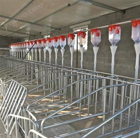 定制养殖场母猪限位栏落地式整体大架热镀锌