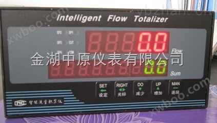 ZYY-800A智能流量积算控制仪