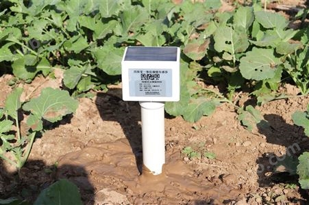 HCS系列 导管式土壤监测仪