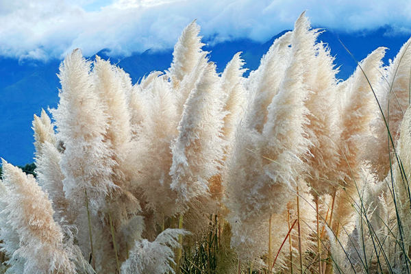 专注创新，铸就“小巨人”——莱特莱德荣获国家级专精特新“小巨人”！