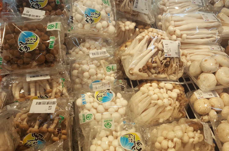 莘县瓜菜菌产业商标品牌指导站成立