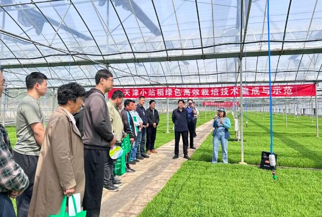 天津市农业中心组织召开水稻集中育秧现场培训会