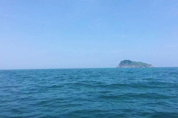 四部门联合部署！今年“百场万企”大中小企业融通对接活动安排来了